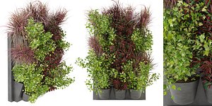 Collection plant vol 243 - blender model 3D model