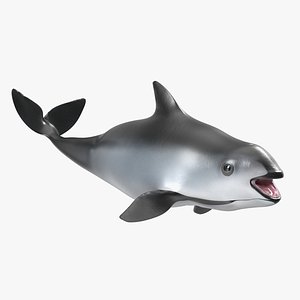 Smallest Cetacean Vaquita Rigged for Maya 3D