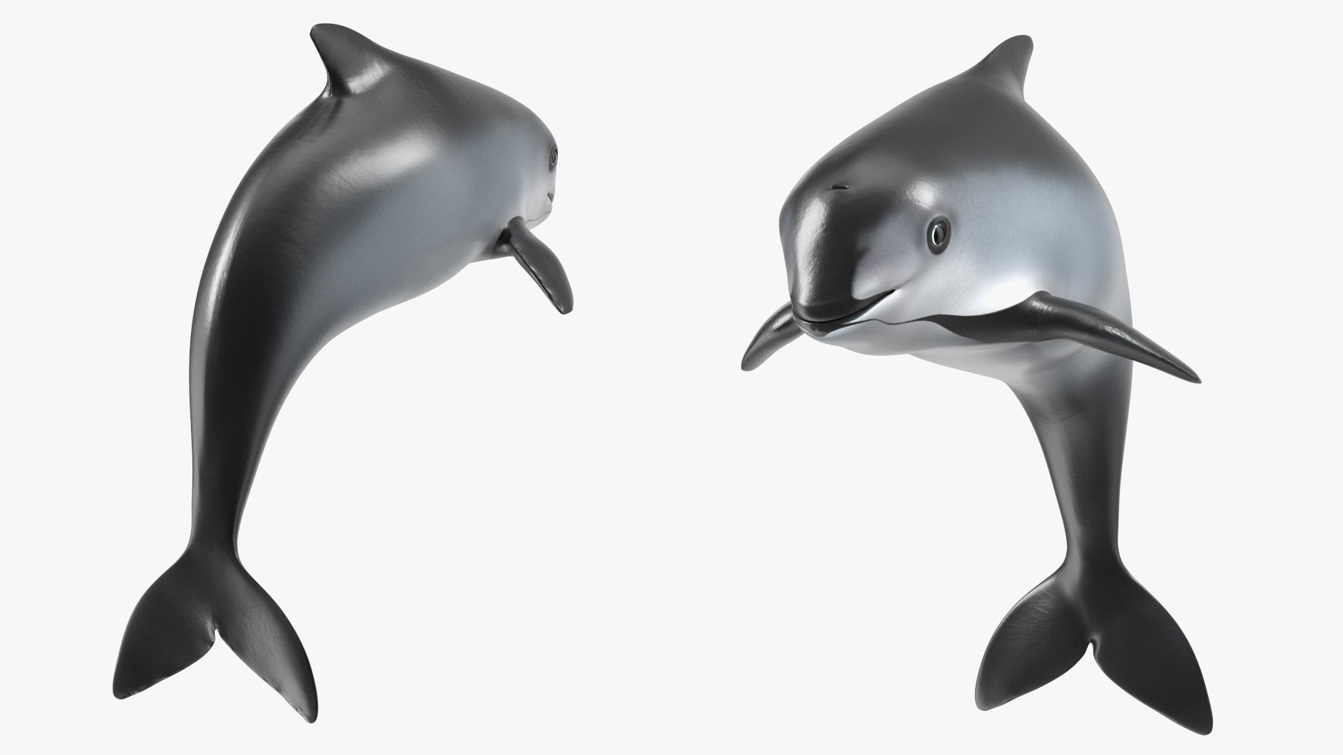 Smallest Cetacean Vaquita Rigged for Maya 3D https://p.turbosquid.com/ts-thumb/G2/tgV9UM/7o/smallestcetaceanvaquitariggedformaya3dsmodel024/jpg/1710276548/1920x1080/fit_q87/572d7a2b0f9316677de3a001c7cbdd9faac86976/smallestcetaceanvaquitariggedformaya3dsmodel024.jpg