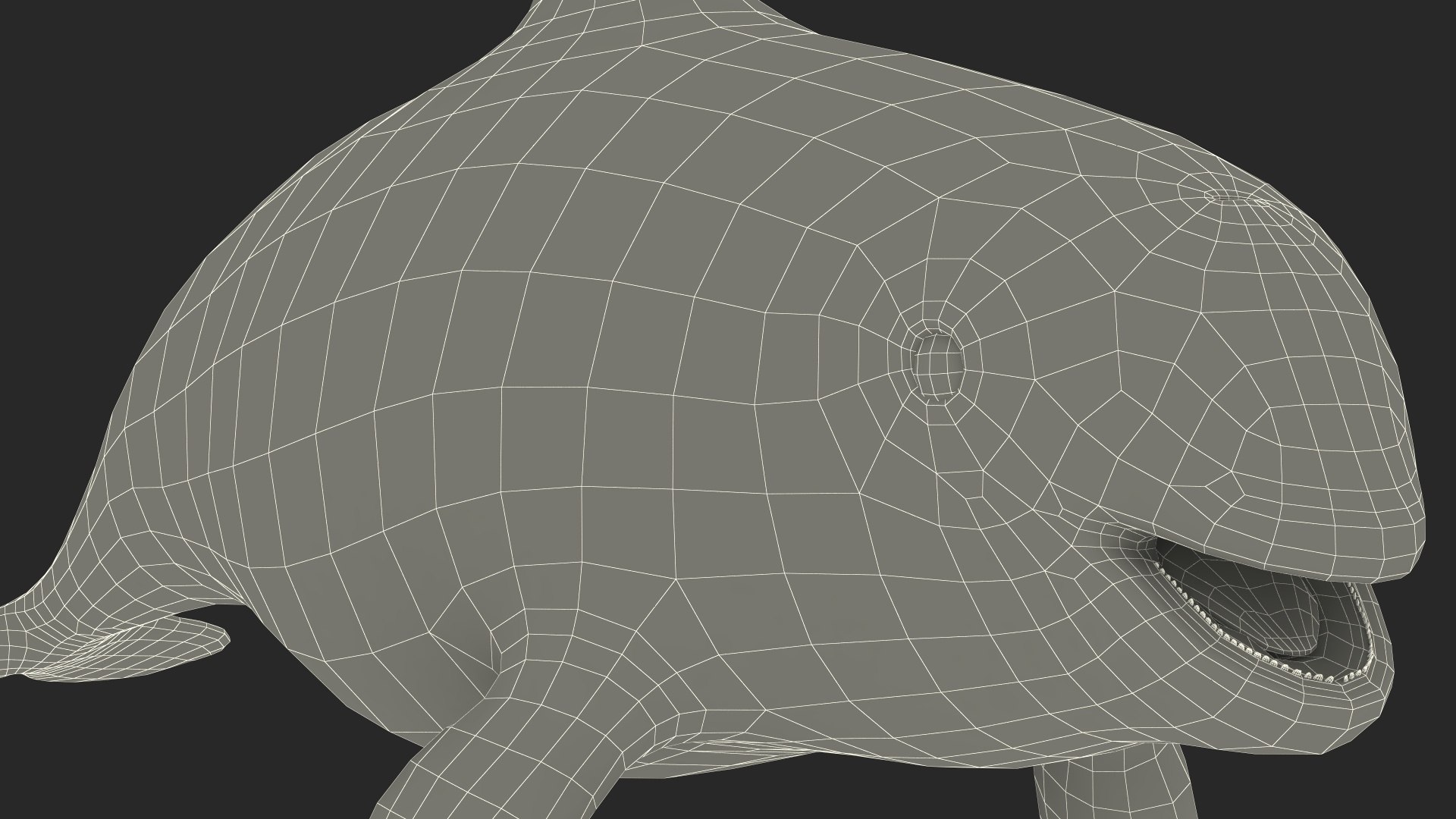 Smallest Cetacean Vaquita Rigged for Maya 3D https://p.turbosquid.com/ts-thumb/G2/tgV9UM/Dz/smallestcetaceanvaquitariggedformaya3dsmodel047/jpg/1710276641/1920x1080/fit_q87/3ecf86206c2bb604d17e210ce0220d281b7f5cab/smallestcetaceanvaquitariggedformaya3dsmodel047.jpg