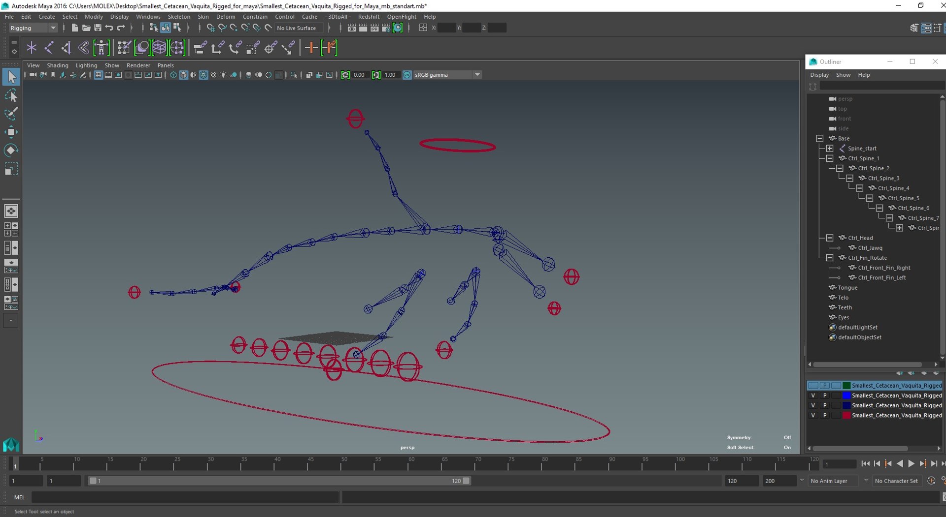 Smallest Cetacean Vaquita Rigged for Maya 3D https://p.turbosquid.com/ts-thumb/G2/tgV9UM/EW/smallestcetaceanvaquitariggedformaya3dsmodel062/jpg/1710276662/1920x1080/fit_q87/d7e43a8ebebaecf1fbc8eef5fd48ffa18d208dc4/smallestcetaceanvaquitariggedformaya3dsmodel062.jpg