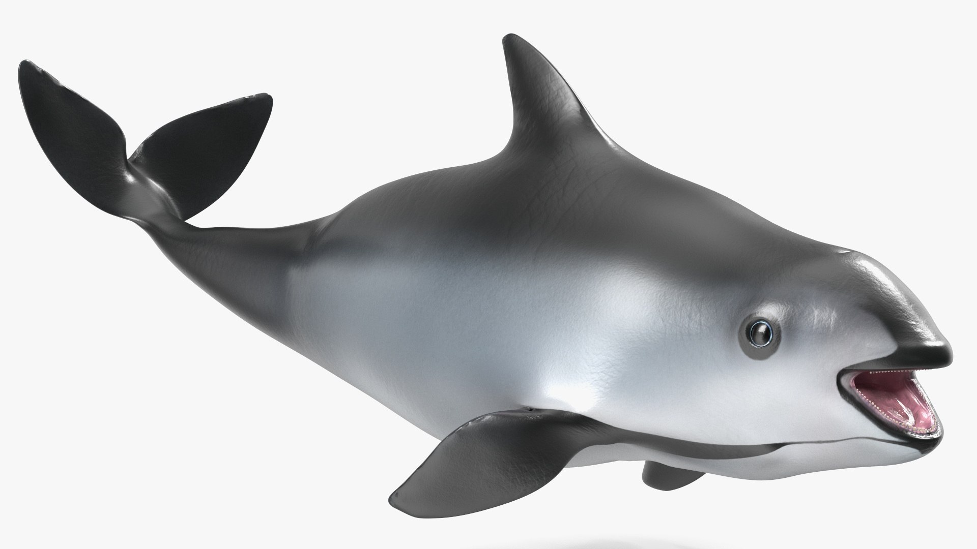 Smallest Cetacean Vaquita Rigged for Maya 3D https://p.turbosquid.com/ts-thumb/G2/tgV9UM/Ej/smallestcetaceanvaquitariggedformaya3dsmodel030/jpg/1710276572/1920x1080/fit_q87/48afacf12b7c3faa3af6b09a4b78925d72d928b7/smallestcetaceanvaquitariggedformaya3dsmodel030.jpg
