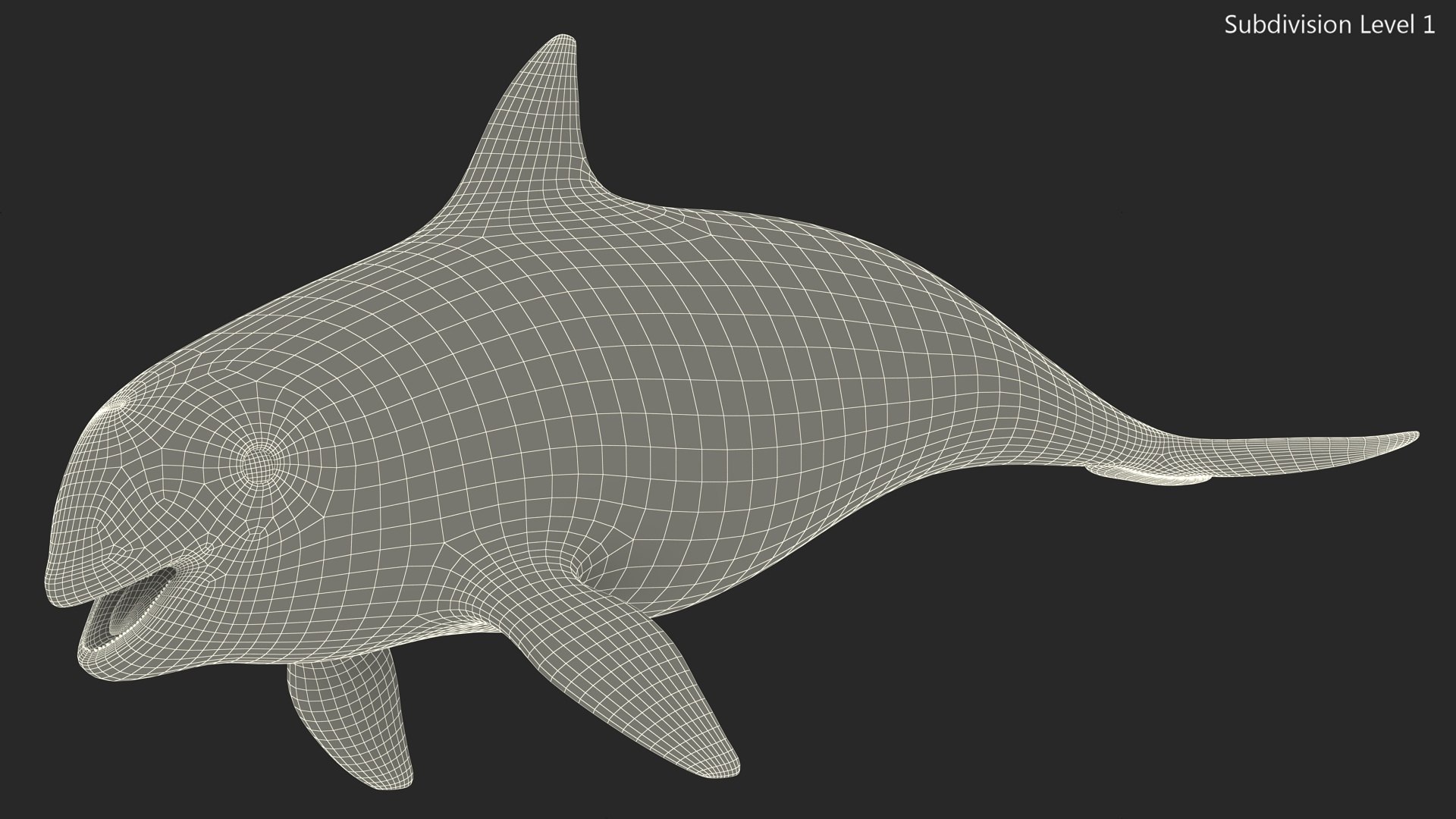 Smallest Cetacean Vaquita Rigged for Maya 3D https://p.turbosquid.com/ts-thumb/G2/tgV9UM/IU/smallestcetaceanvaquitariggedformaya3dsmodel039/jpg/1710276608/1920x1080/fit_q87/c4089498e6d4ef0c26ccc16d1025a185b0db9a86/smallestcetaceanvaquitariggedformaya3dsmodel039.jpg