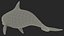 La vaquita cetácea más pequeña preparada para los mayas
