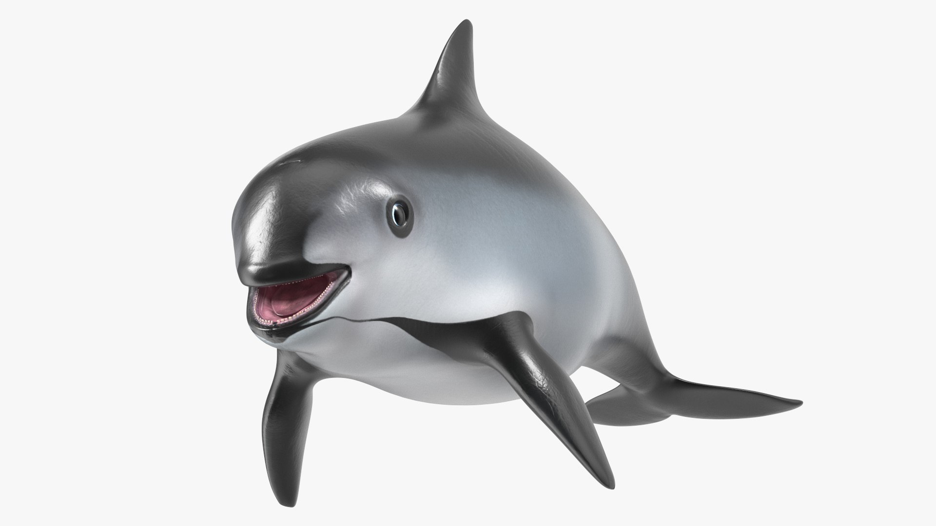 Smallest Cetacean Vaquita Rigged for Maya 3D https://p.turbosquid.com/ts-thumb/G2/tgV9UM/kl/smallestcetaceanvaquitariggedformaya3dsmodel028/jpg/1710276565/1920x1080/fit_q87/7a500bab139a3fdef27cb6f9ae3491c6ef493b8b/smallestcetaceanvaquitariggedformaya3dsmodel028.jpg