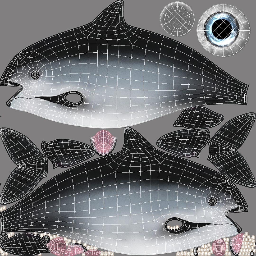 Smallest Cetacean Vaquita Rigged for Maya 3D https://p.turbosquid.com/ts-thumb/G2/tgV9UM/ol/smallestcetaceanvaquitariggedformaya3dsmodel040/jpg/1710276612/1920x1080/fit_q87/de6f99caf719686197b44b72b2de749fdf8aef3a/smallestcetaceanvaquitariggedformaya3dsmodel040.jpg