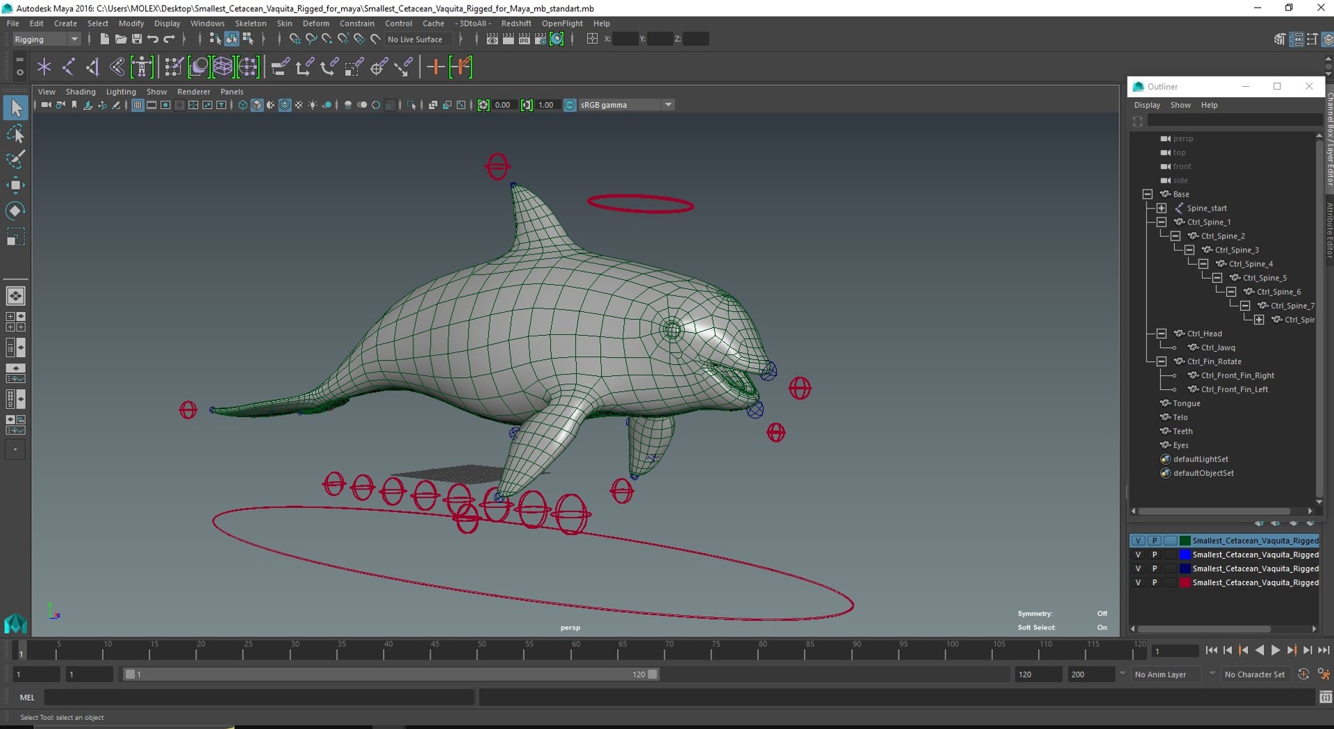 Smallest Cetacean Vaquita Rigged for Maya 3D https://p.turbosquid.com/ts-thumb/G2/tgV9UM/tl/smallestcetaceanvaquitariggedformaya3dsmodel061/jpg/1710276658/1920x1080/fit_q87/80e4d737c711e7dff0aee4e3c67d72b8c5ac4135/smallestcetaceanvaquitariggedformaya3dsmodel061.jpg