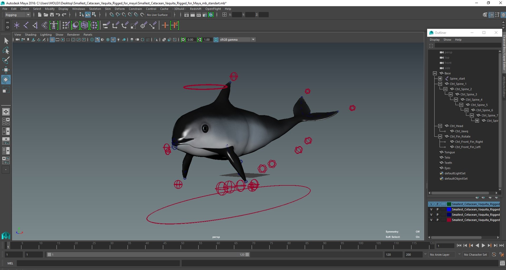 Smallest Cetacean Vaquita Rigged for Maya 3D https://p.turbosquid.com/ts-thumb/G2/tgV9UM/xj/smallestcetaceanvaquitariggedformaya3dsmodel063/jpg/1710276668/1920x1080/fit_q87/d61c7623433987f9096cd81b99c0ada8f2b8e875/smallestcetaceanvaquitariggedformaya3dsmodel063.jpg