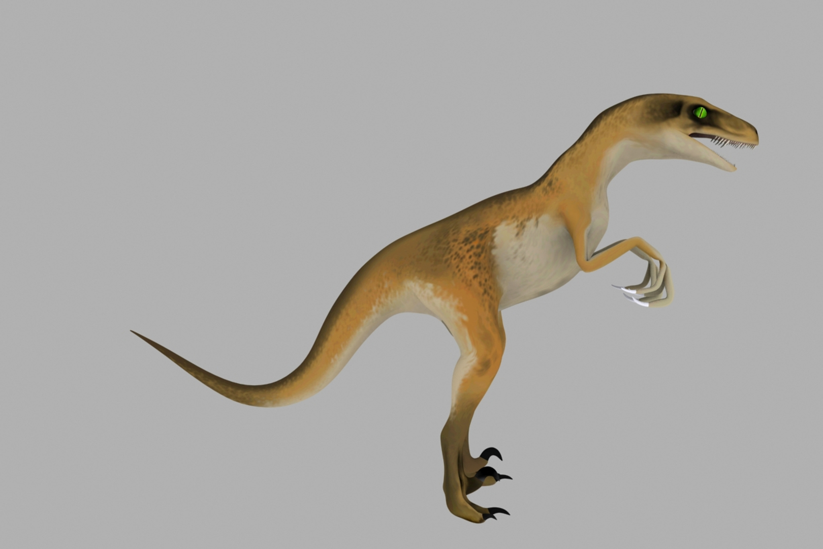 Raptor 3d Model