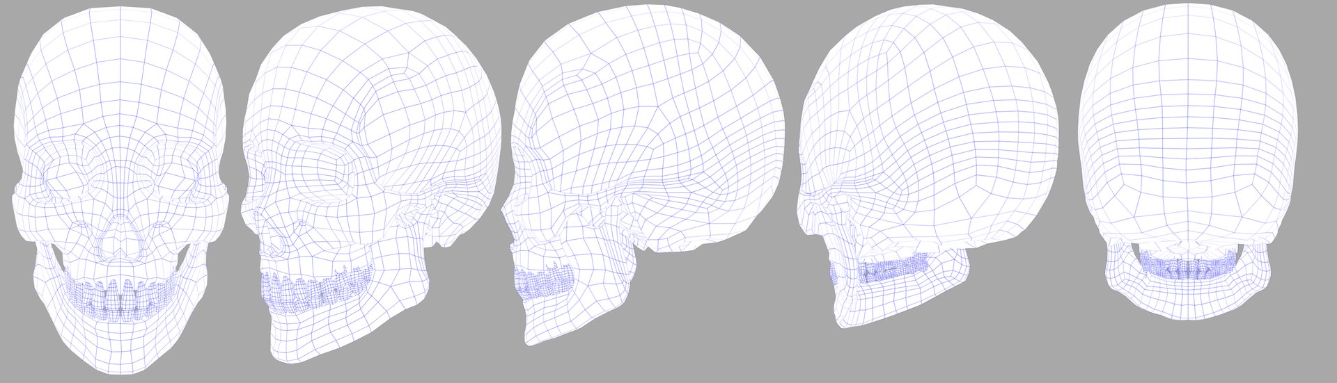3D Human Skull Model - TurboSquid 1809790