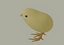 Chick 3D model