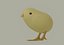 Chick 3D model