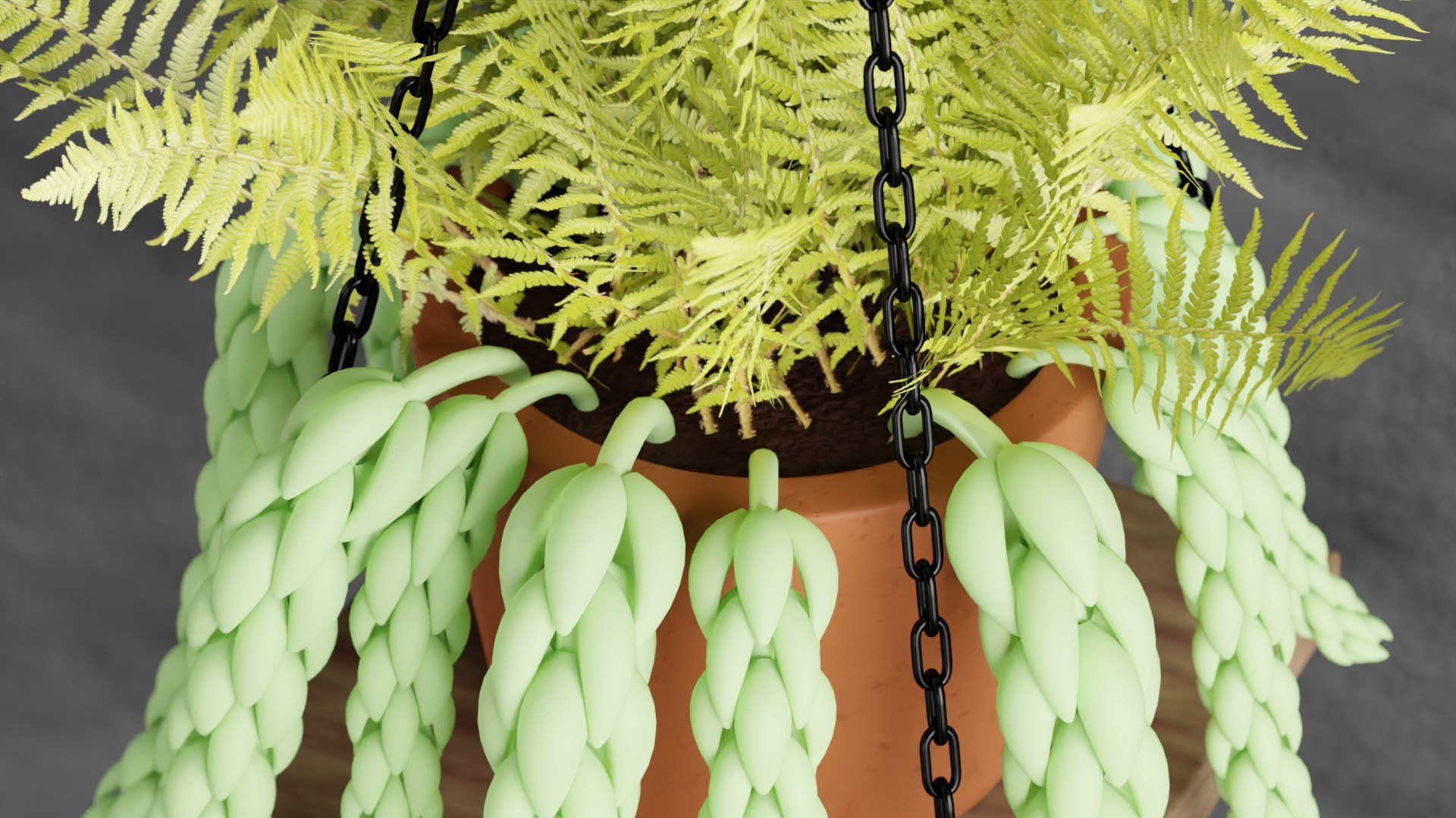 3D plant succulent https://p.turbosquid.com/ts-thumb/G3/1uFDYn/52/preview03/png/1605199839/1920x1080/fit_q87/b754ecf366925bec8c49780717480e69ad5a40c1/preview03.jpg