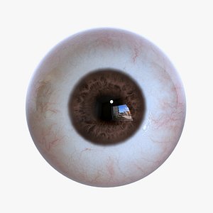 3D Realistic Human Brown Eye model