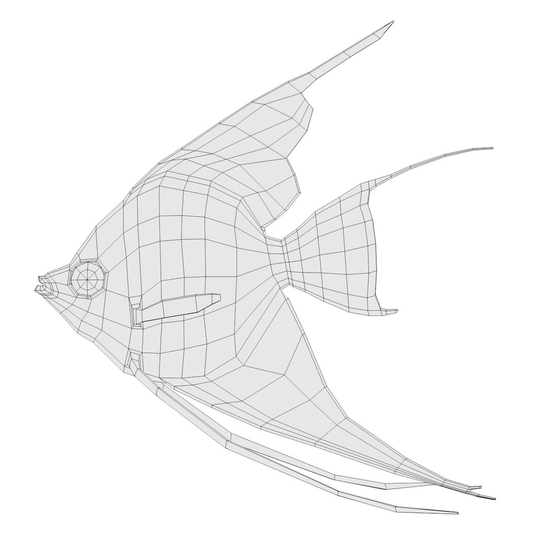 Fishes Aquarium 3d Model
