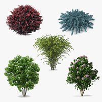Bushes Collection 4