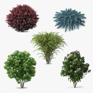 Bushes Collection 4
