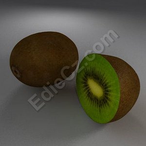 kiwi realistic 3d model