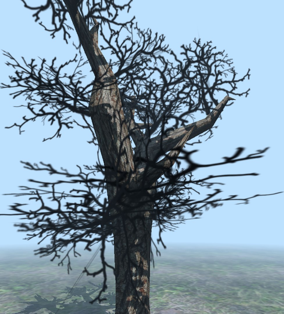 Winter Tree 3d Model