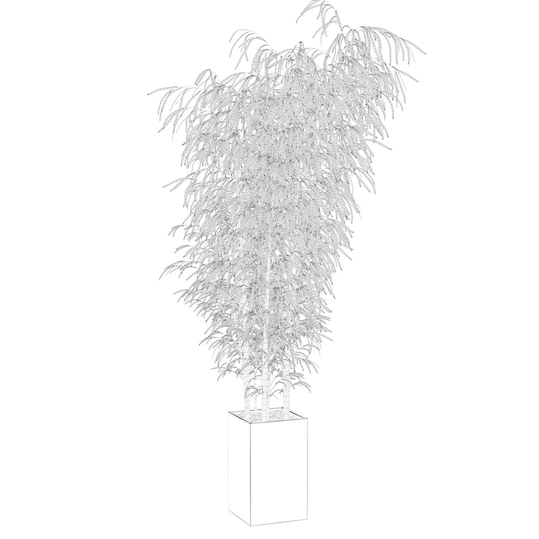 3D Bamboo in concrete pot model https://p.turbosquid.com/ts-thumb/G3/OA8HDU/Ae/bamboowire15/jpg/1648717003/1920x1080/fit_q87/f465abd25480a85a692d856633e4deee8699ff0d/bamboowire15.jpg