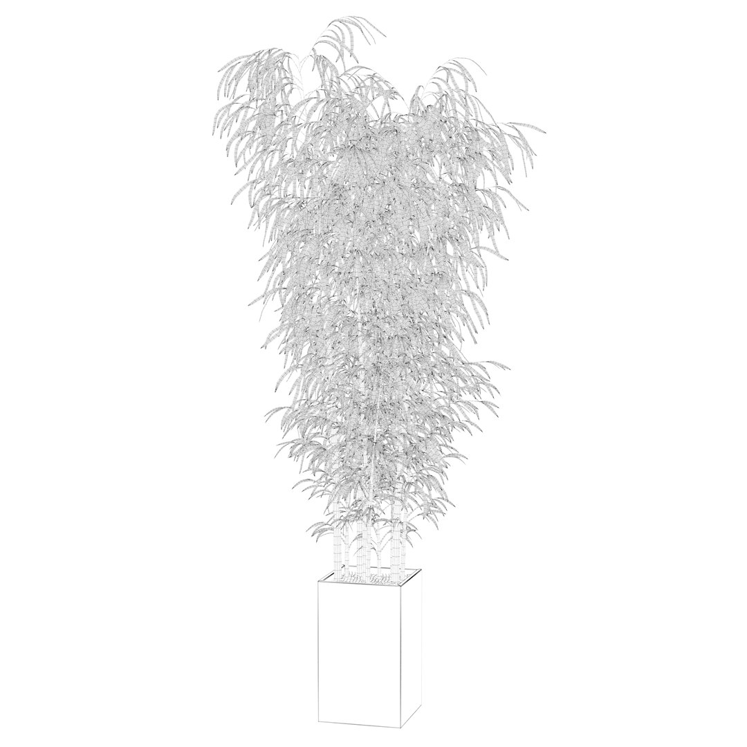 3D Bamboo in concrete pot model https://p.turbosquid.com/ts-thumb/G3/OA8HDU/KM/bamboowire23/jpg/1648717004/1920x1080/fit_q87/f84e023c6466f0c5b8e251d58678baefc0fff523/bamboowire23.jpg
