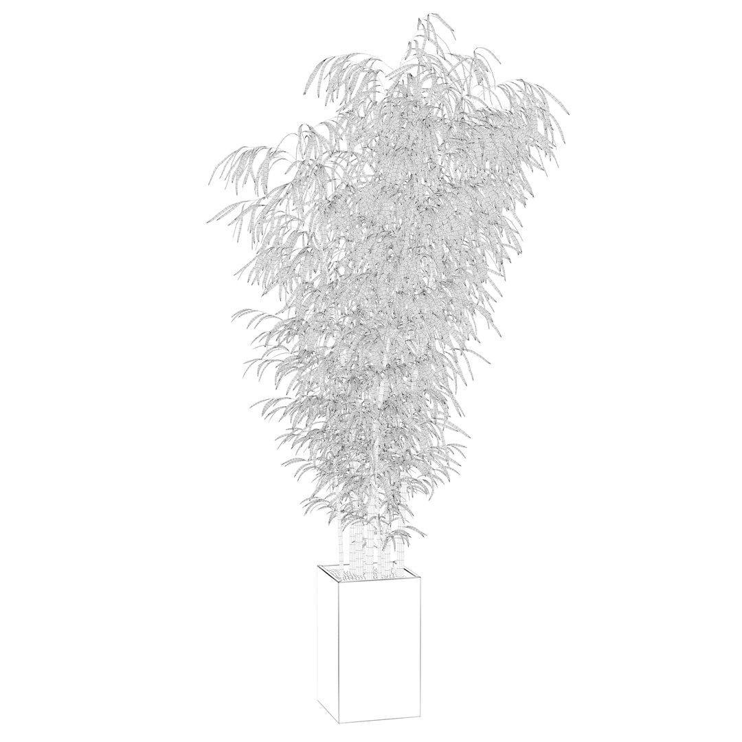 3D Bamboo in concrete pot model https://p.turbosquid.com/ts-thumb/G3/OA8HDU/bn/bamboowire19/jpg/1648717004/1920x1080/fit_q87/b871408584ddf4c963a51e689335e27c69f500e2/bamboowire19.jpg