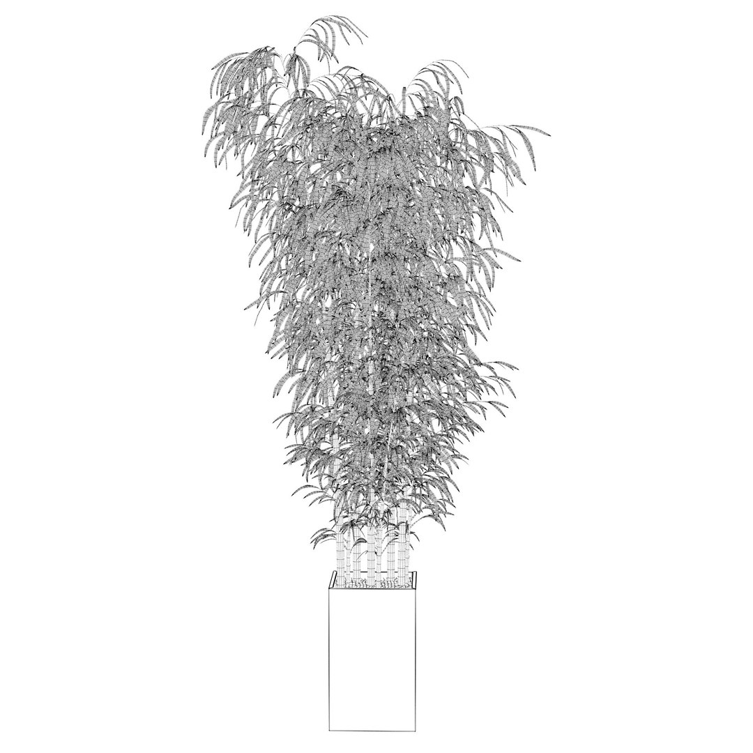 3D Bamboo in concrete pot model https://p.turbosquid.com/ts-thumb/G3/OA8HDU/xr/bamboo01c/jpg/1648717005/1920x1080/fit_q87/3f9da9c0df12a41d74e9de2cba07f6df168d87f3/bamboo01c.jpg