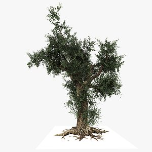 3D beautiful Tree