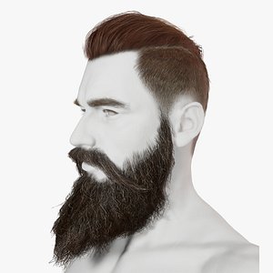 Realistic Hair Beard brows mustache p3 model