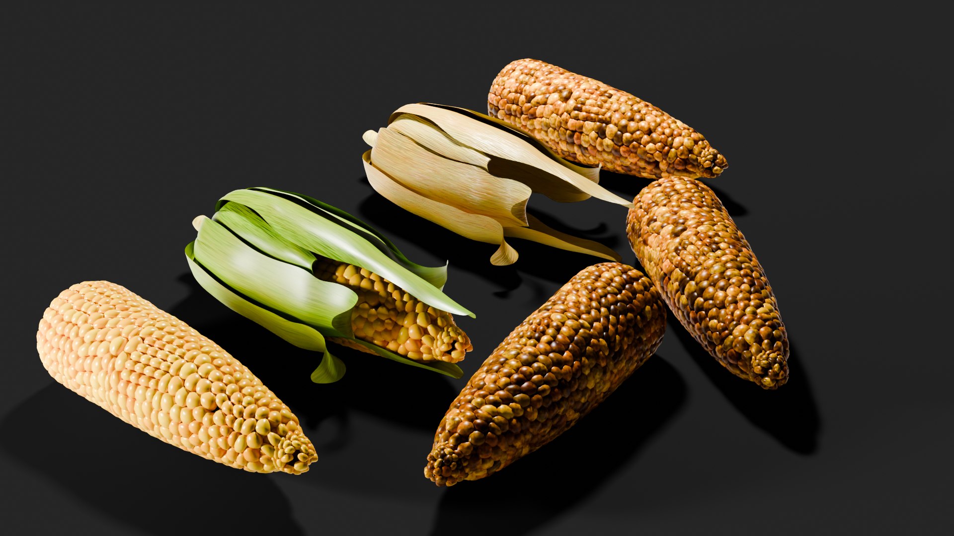 3D Realistic roasted Corn maize pbr - TurboSquid 2173728
