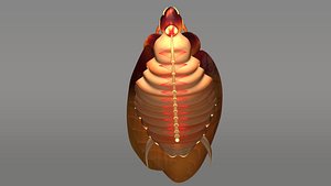 3d cockroaches insects pests