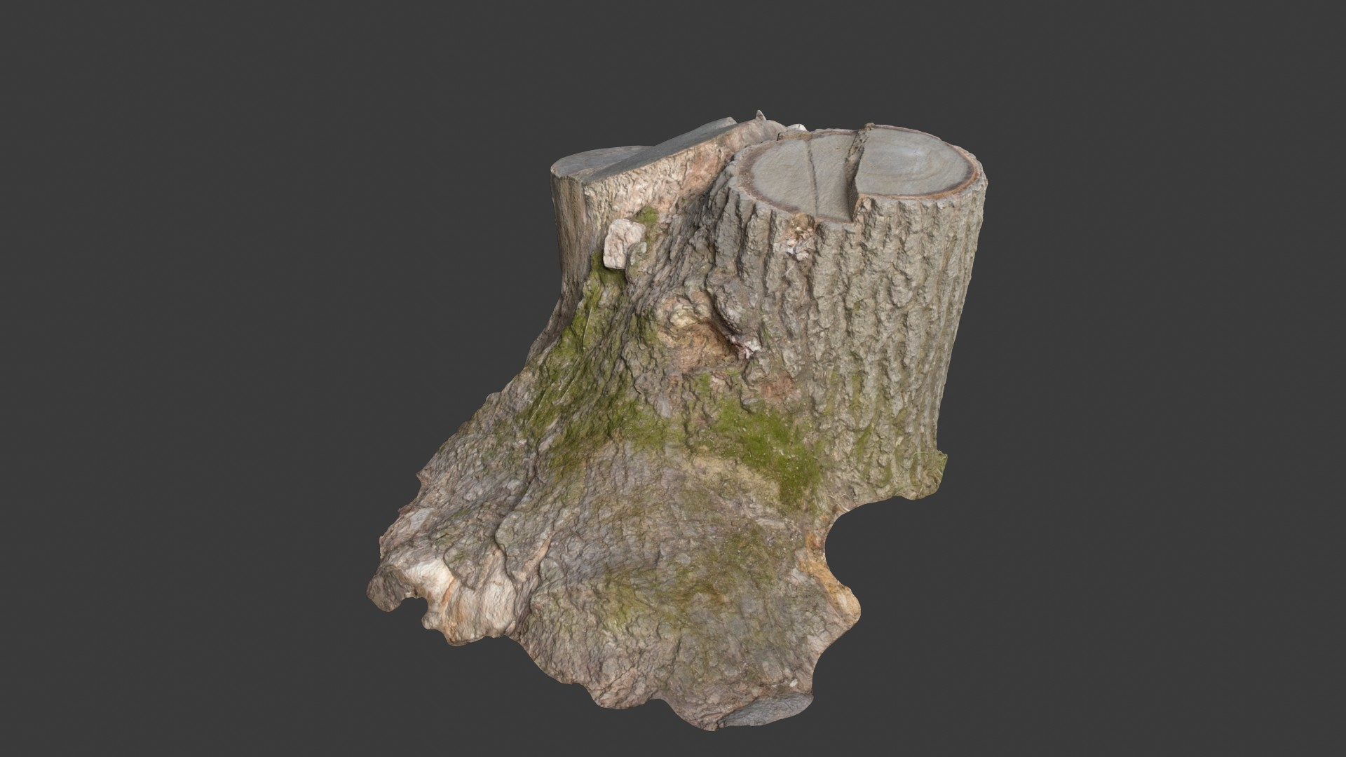 Tree Stump 004 3d Scan 3D Model TurboSquid 2111491