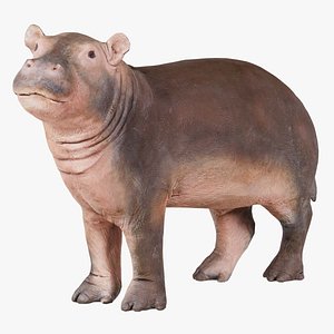 Infant Hippo Hippopotamus Amphibius Remastered 3D model