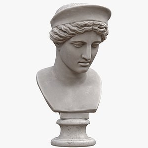 3D barberini hera bust model