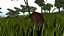 Gallimimus