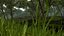 Gallimimus