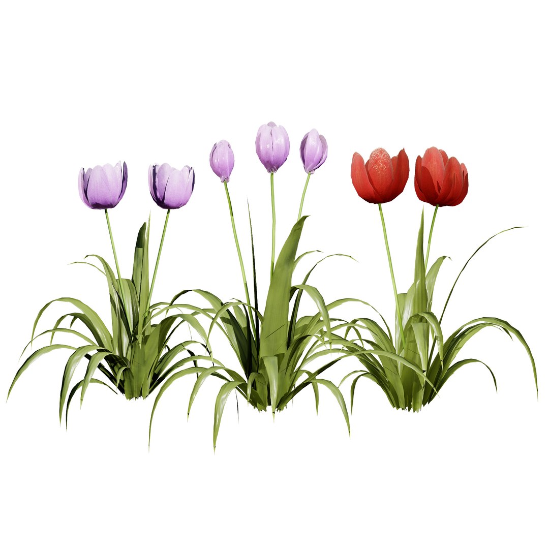 English Primroses  Red  Yellow Tulips 3D Asset model https://p.turbosquid.com/ts-thumb/G3/shWeHC/6I/cover01/jpg/1717938358/1920x1080/fit_q87/d2f147b2f3fb95a08994a412496e727538fd7ebf/cover01.jpg