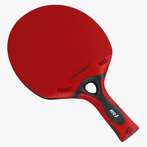 Table Tennis Paddle