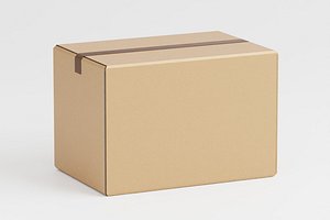 Cardboard box 3D