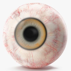 3D model Realistic Dog Eye