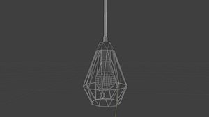Hanging Ceiling Light