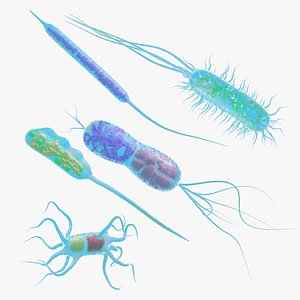 3D Animated microbes 1-5 model