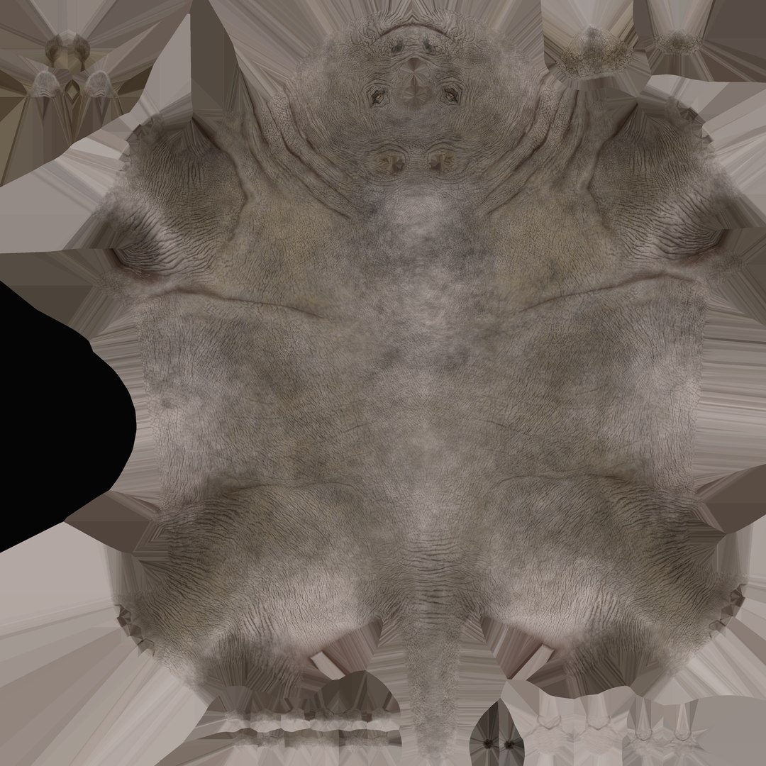 Rhino 3D - TurboSquid 2097084