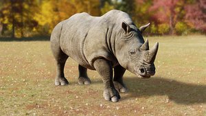 Rhino 3D