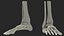 Medical Anatomical Human Skeleton Foot
