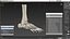 Medical Anatomical Human Skeleton Foot