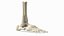 Medical Anatomical Human Skeleton Foot