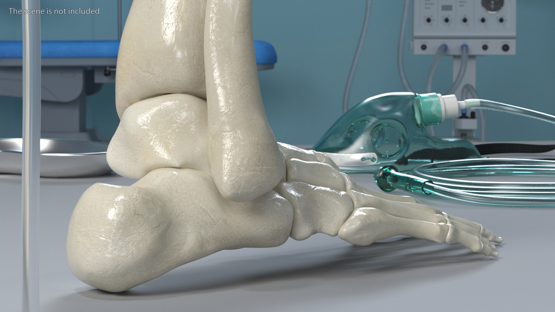 3D model Medical Anatomical Human Skeleton Foot https://p.turbosquid.com/ts-thumb/G4/jL9kTI/Nd/medicalanatomicalhumanskeletonfoot3dsmodel005/jpg/1676015832/1920x1080/fit_q87/262d44f04390fa15616f8f80d15c89d5162d98b4/medicalanatomicalhumanskeletonfoot3dsmodel005.jpg