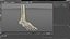 Medical Anatomical Human Skeleton Foot