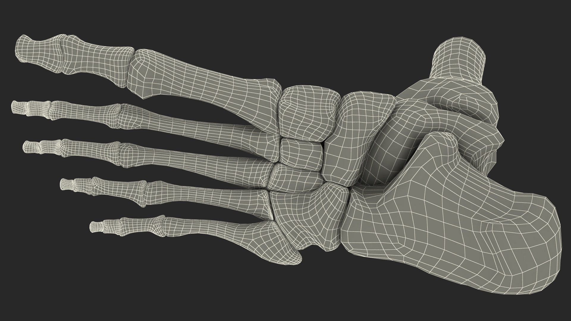 3D model Medical Anatomical Human Skeleton Foot https://p.turbosquid.com/ts-thumb/G4/jL9kTI/bF/medicalanatomicalhumanskeletonfoot3dsmodel030/jpg/1676015921/1920x1080/fit_q87/1838d5e2060d289317ba896cc5f68ffe4760d7fb/medicalanatomicalhumanskeletonfoot3dsmodel030.jpg
